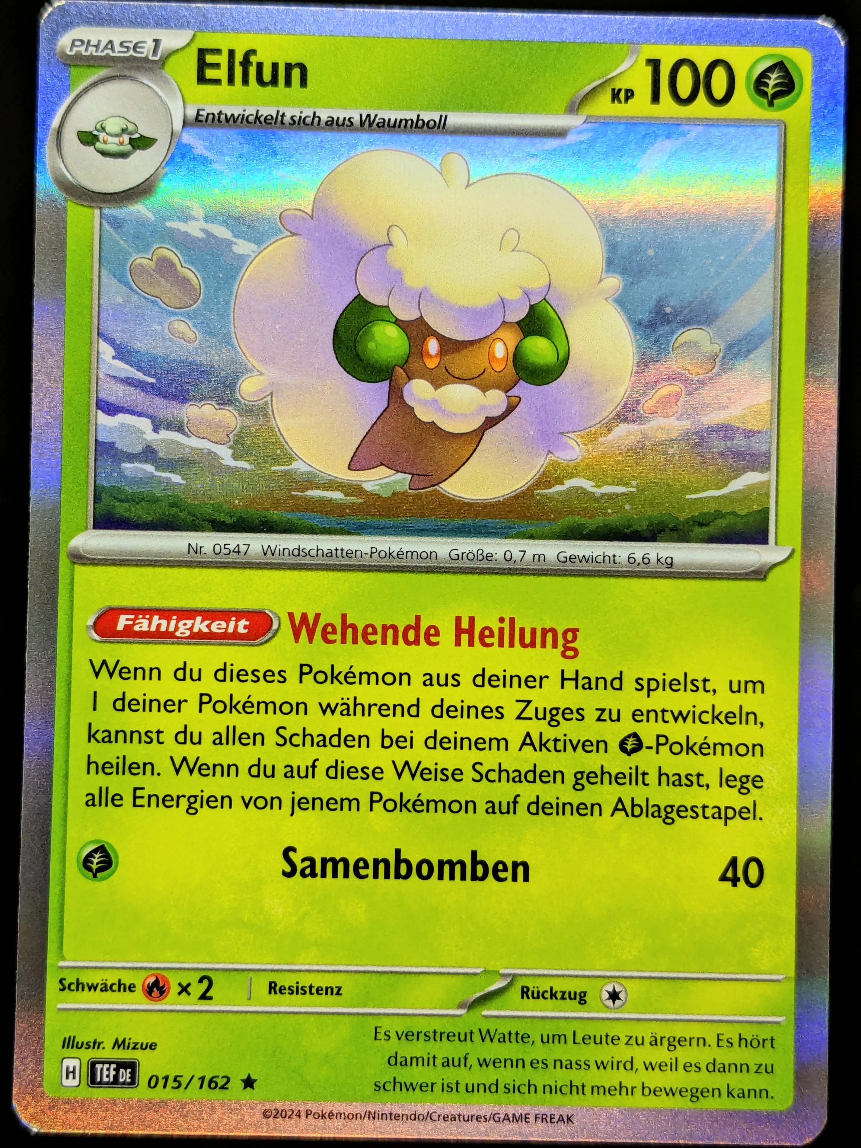 Vorschaubild 1