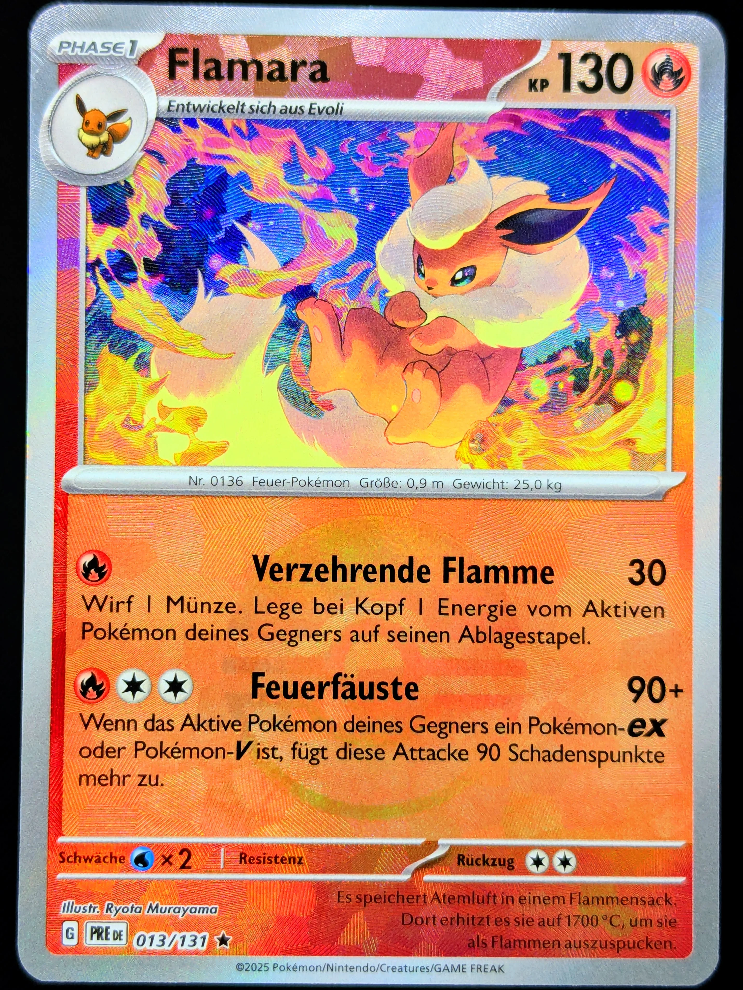 Vorschaubild 1