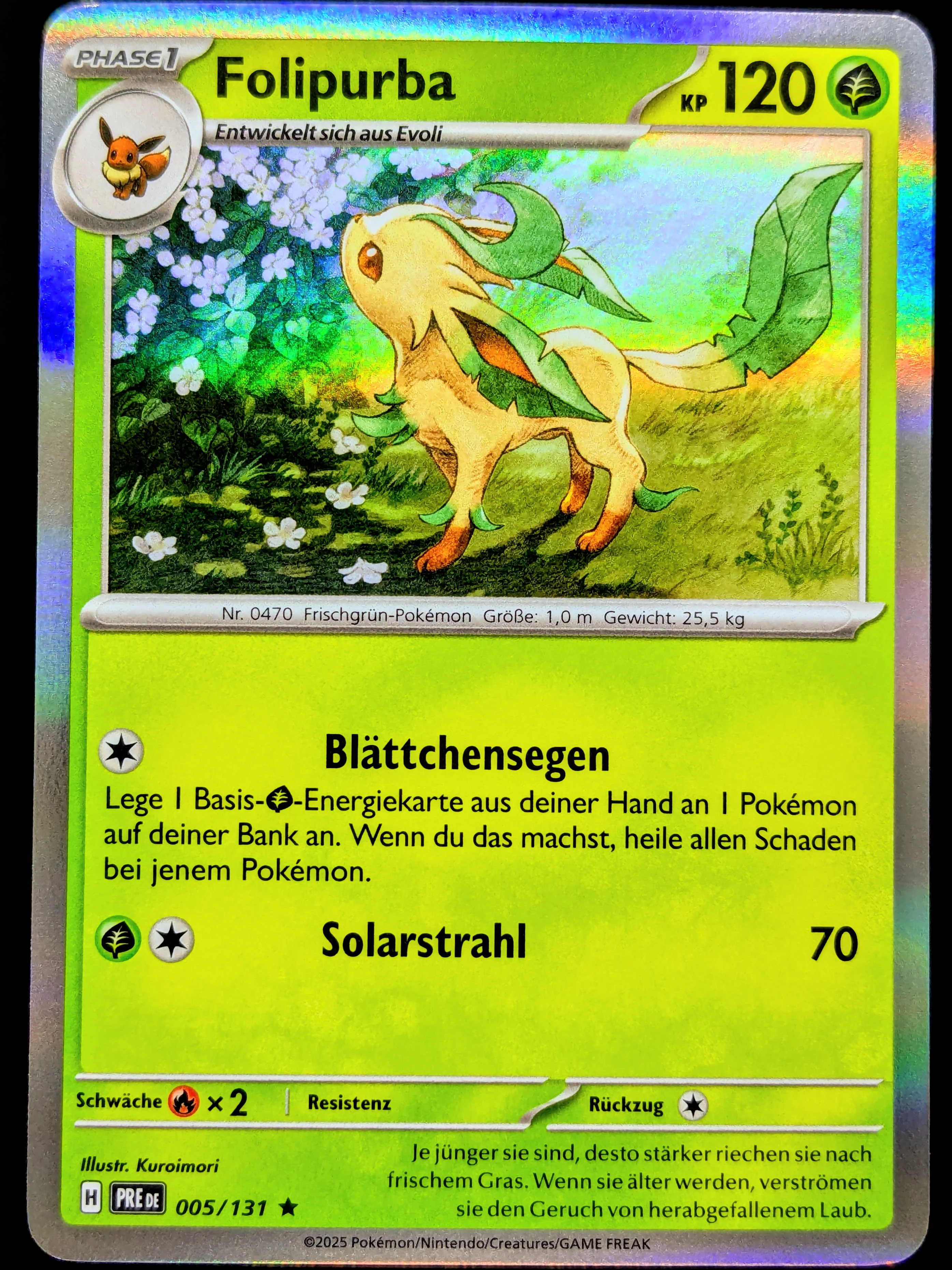 Vorschaubild 1