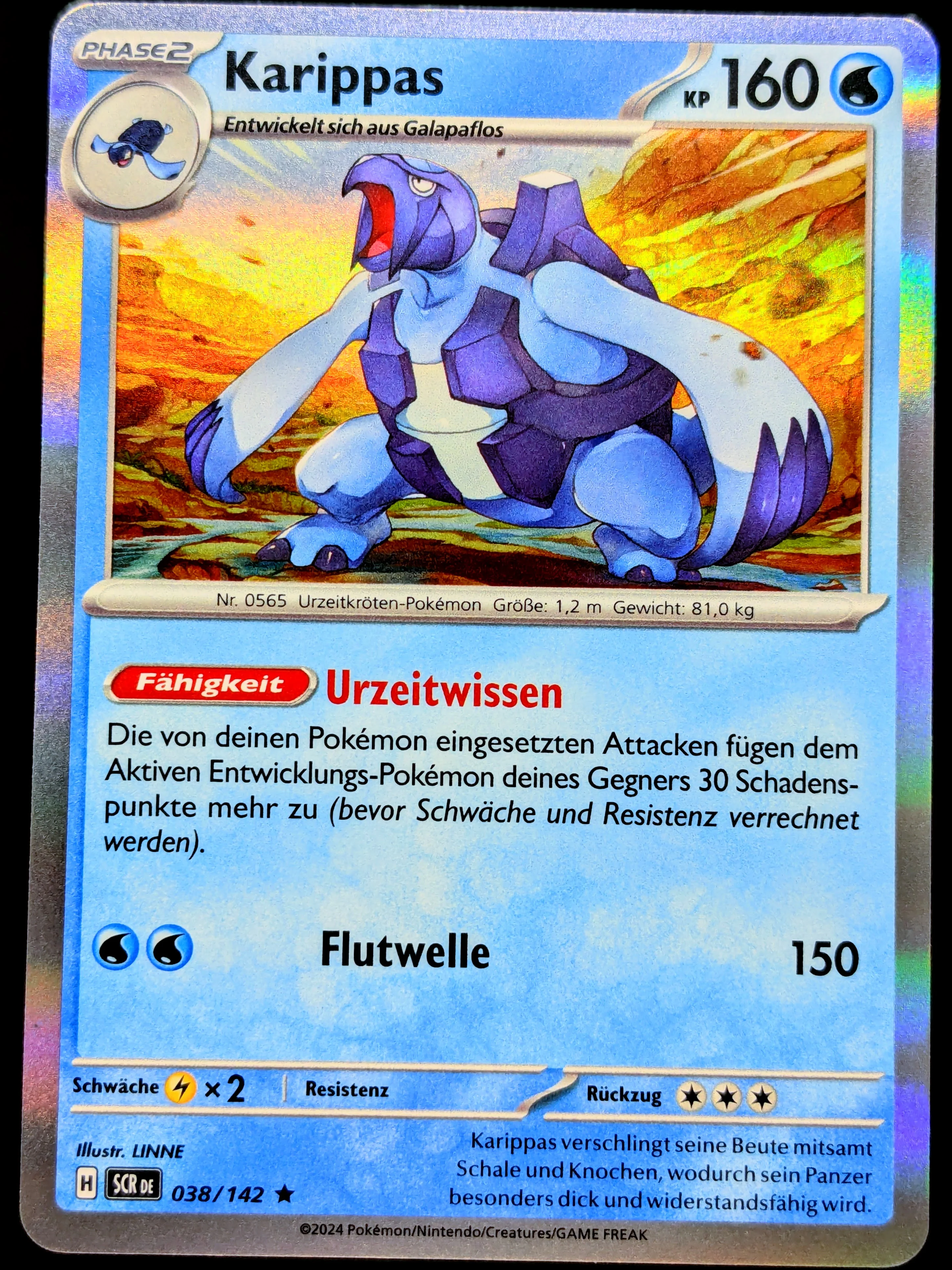 Vorschaubild 1