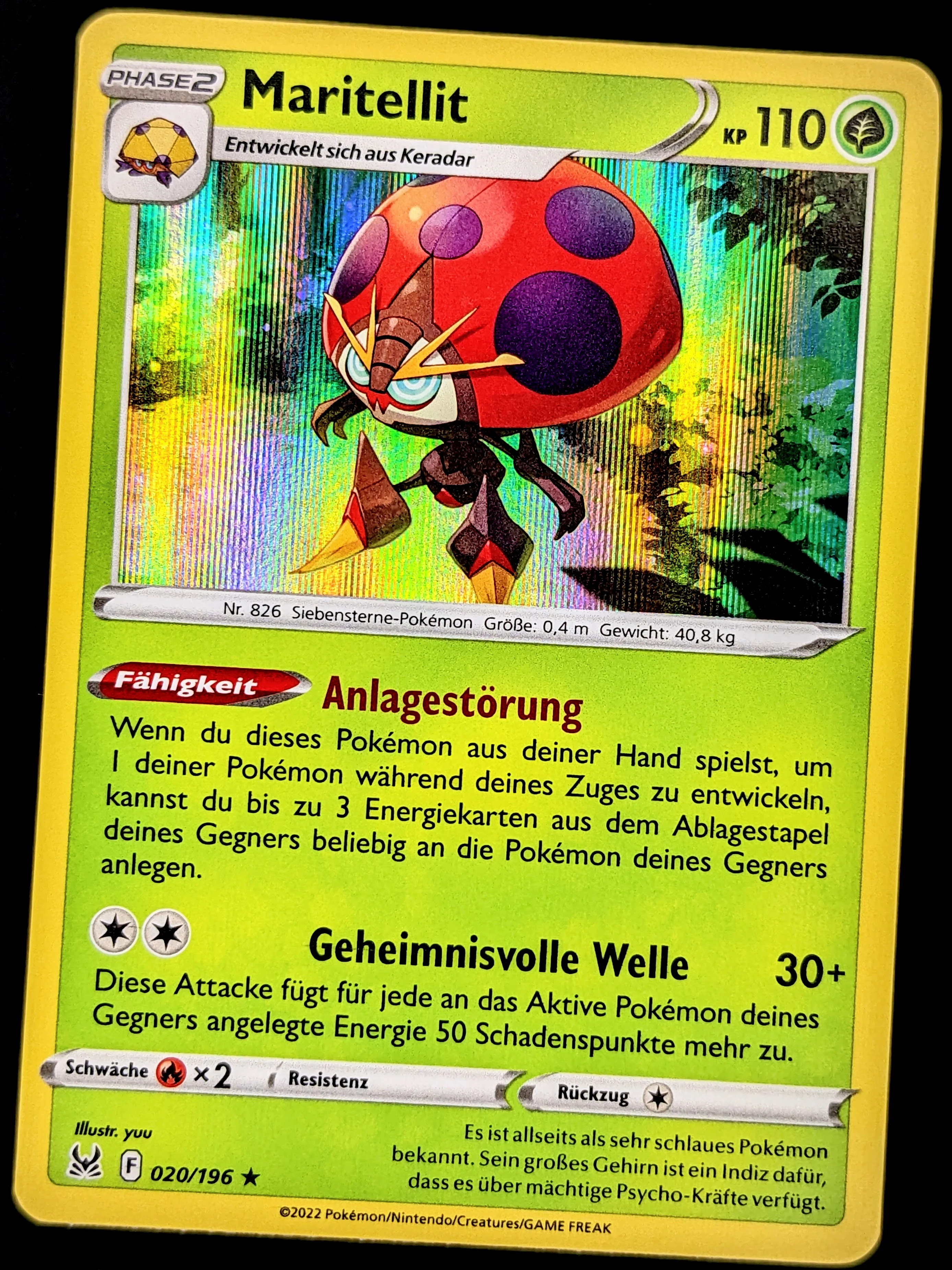 Vorschaubild 1