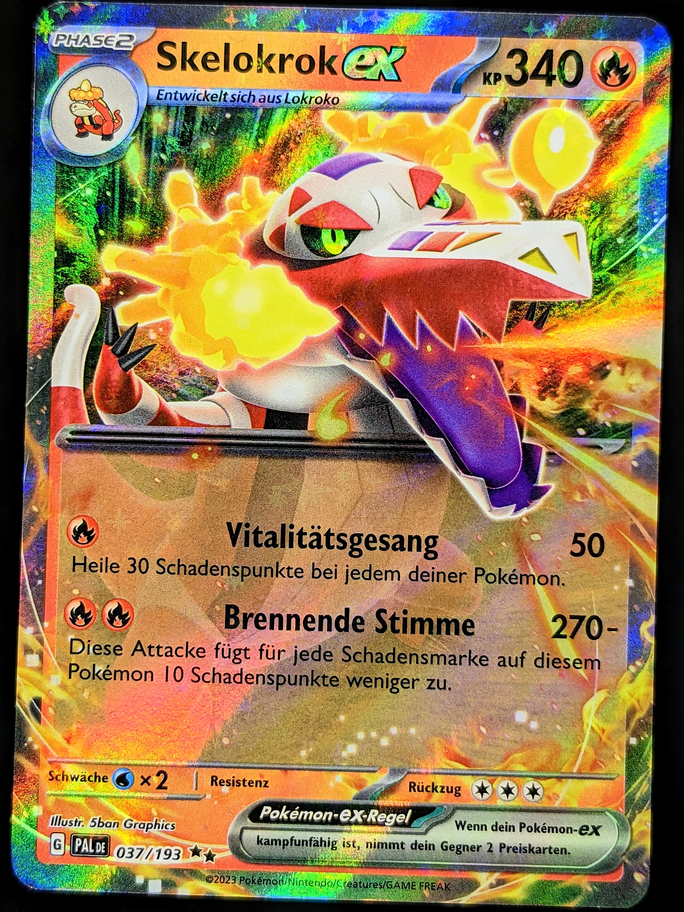 Vorschaubild 1
