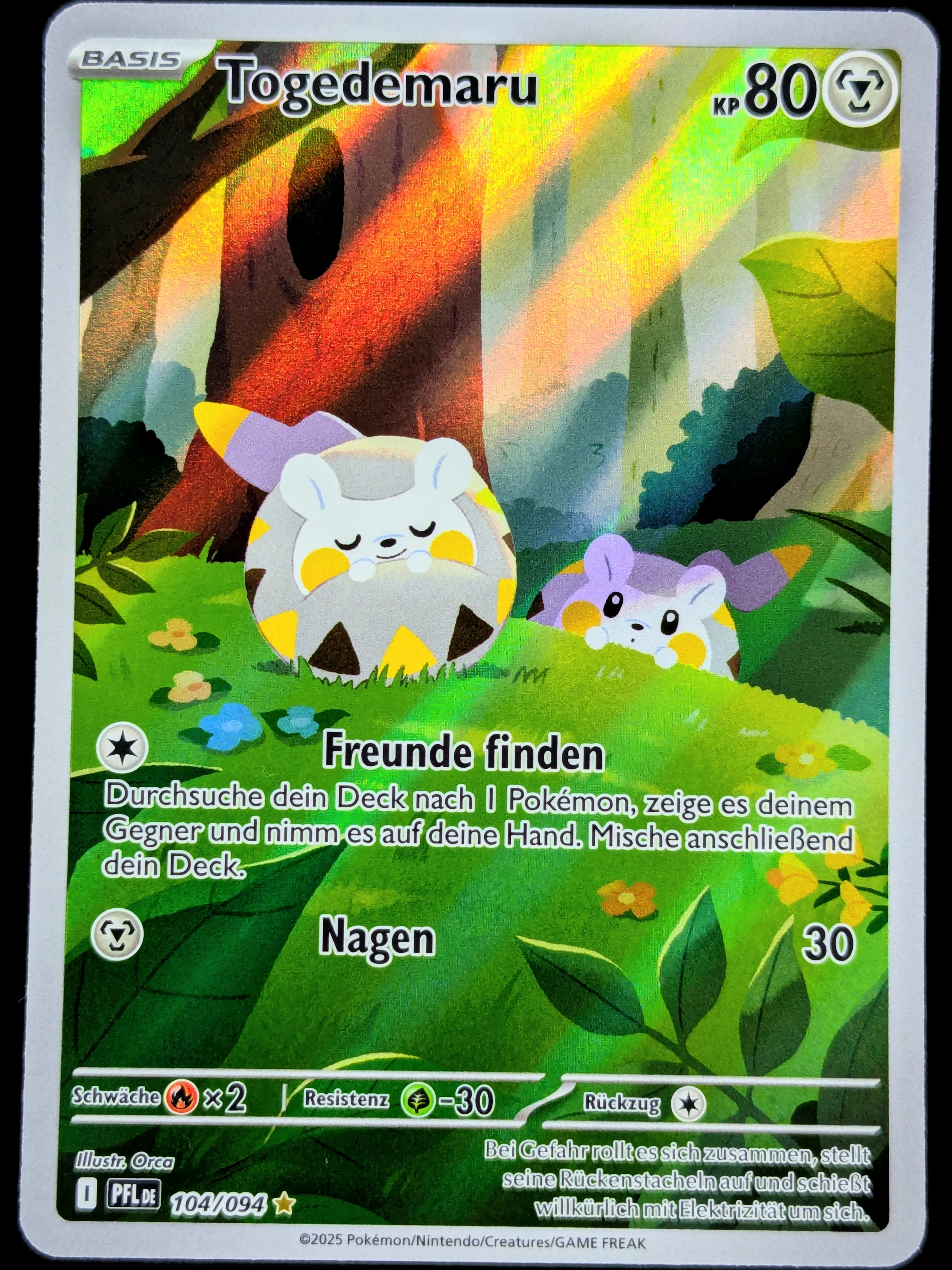 Vorschaubild 1